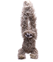 Cuddlekins - Sloth Plush